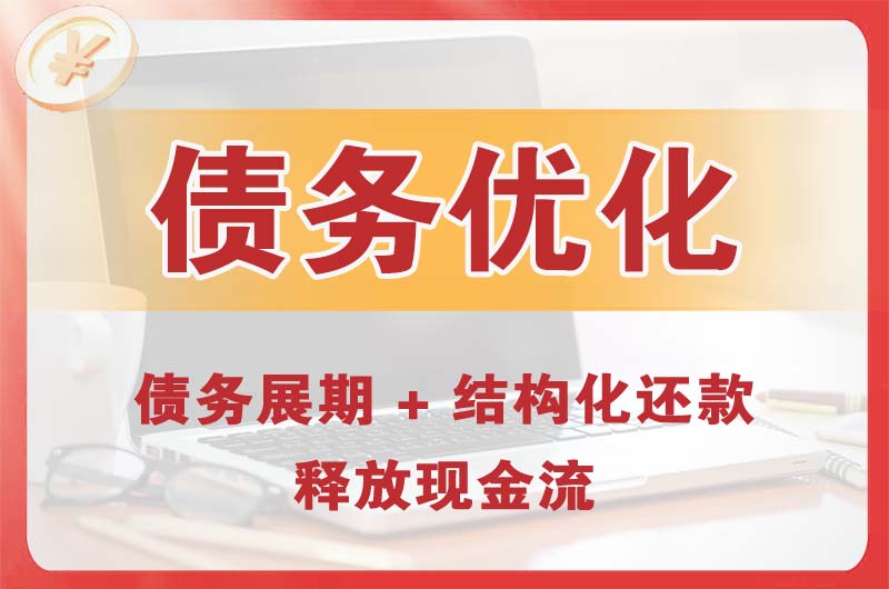 耒阳债务优化