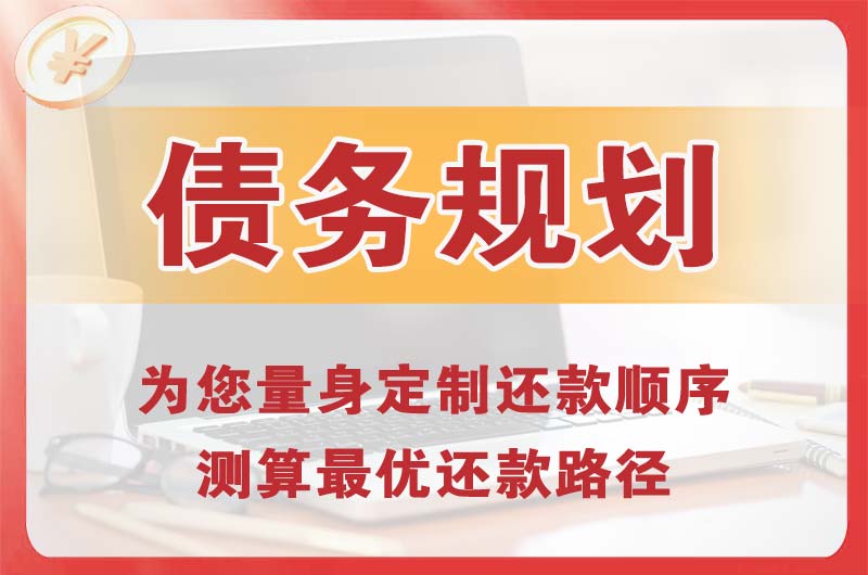 耒阳债务规划